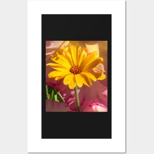 Rising Yellow Daisy Flower Posters and Art